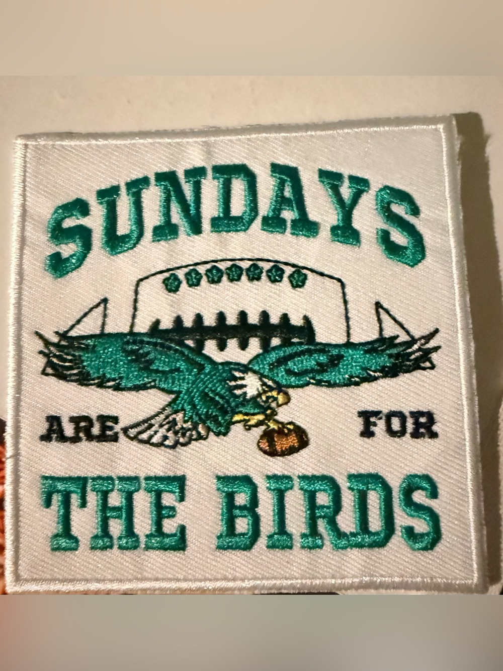 Sundays Are for The Birds Embroidered Patch - Teal & White